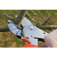 Product alt image 1