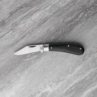 Taylor's SH260 - 55mm Stainless Steel Bunny Knife with Clip (Black Handle)